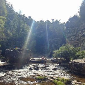 Meet your Posher, Robbie